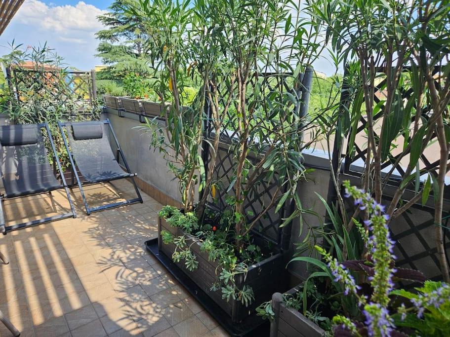 Photo of Patio Balcony in Borgo Milano