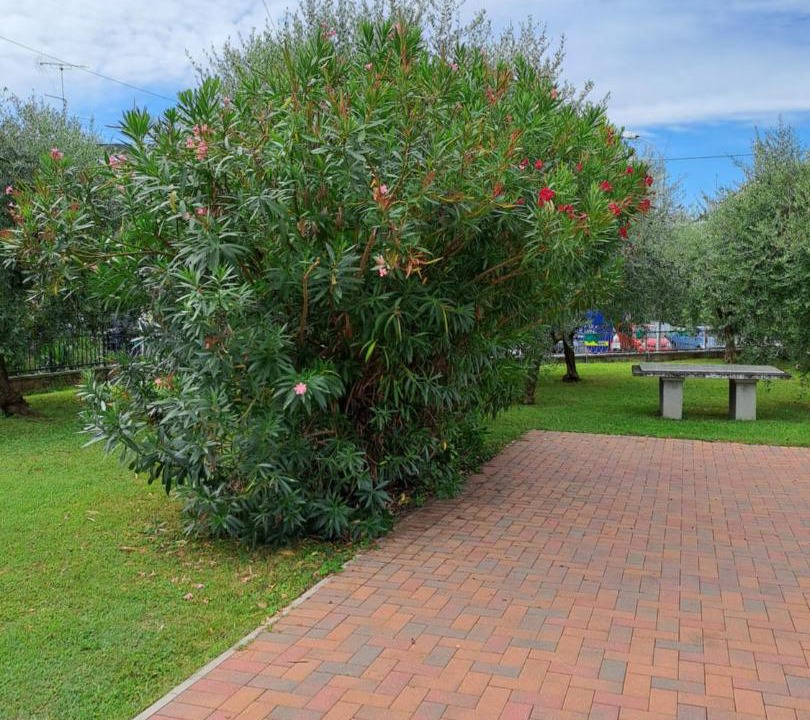 Photo of Outdoor in Sandra