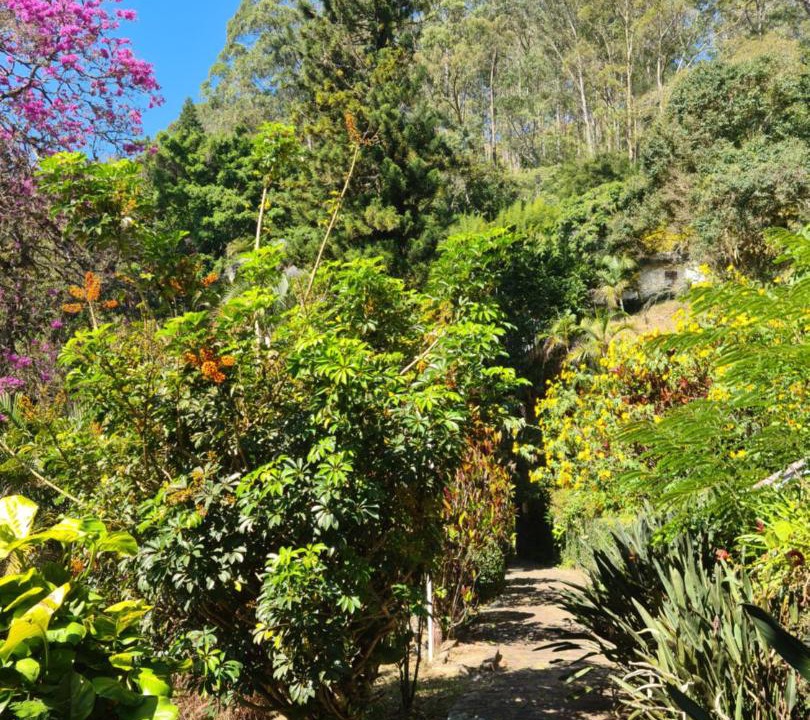 Photo of Others in Petropolis