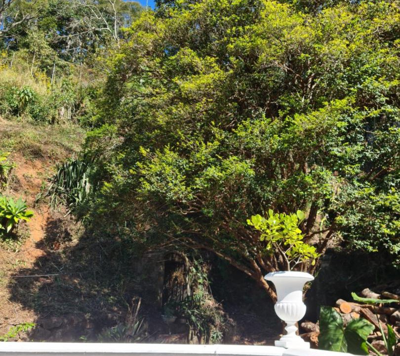 Photo of Others in Petropolis