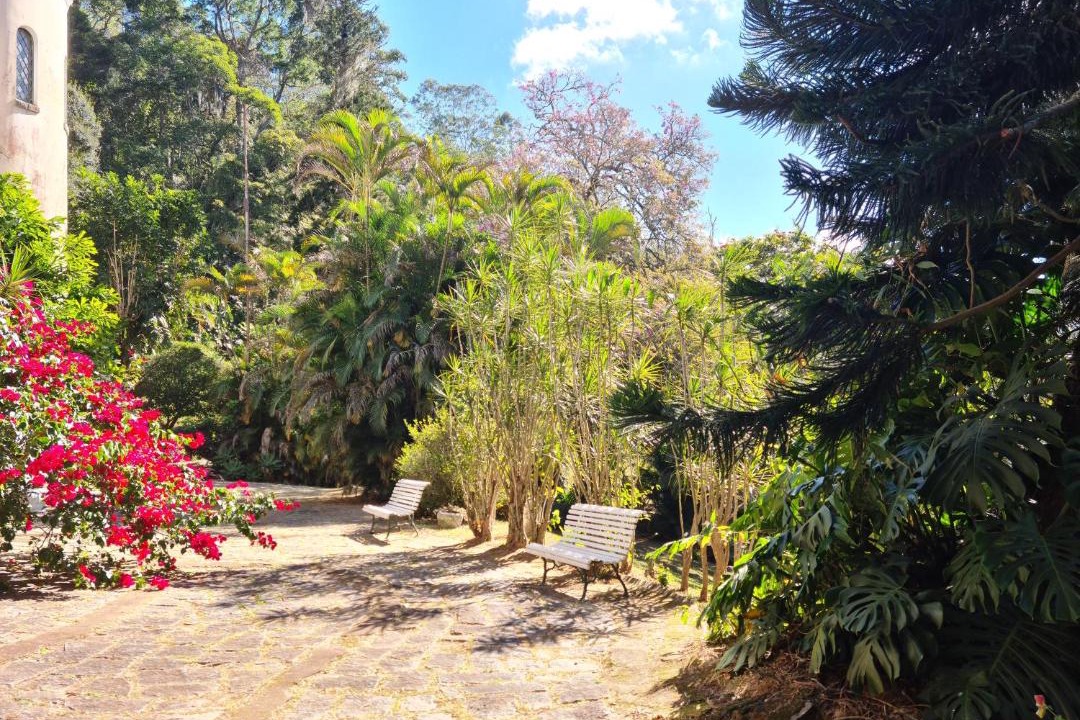 Photo of Others in Petropolis
