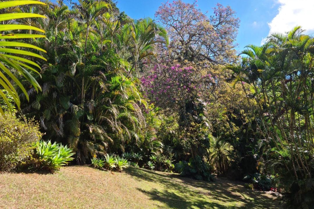 Photo of Others in Petropolis