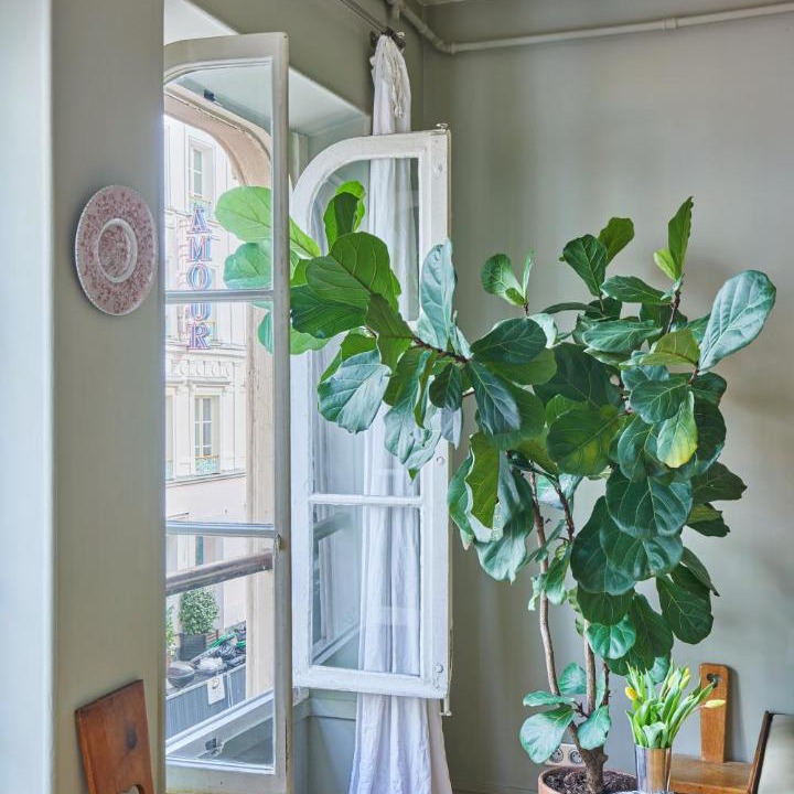 Photo of Others in 9th Arrondissement