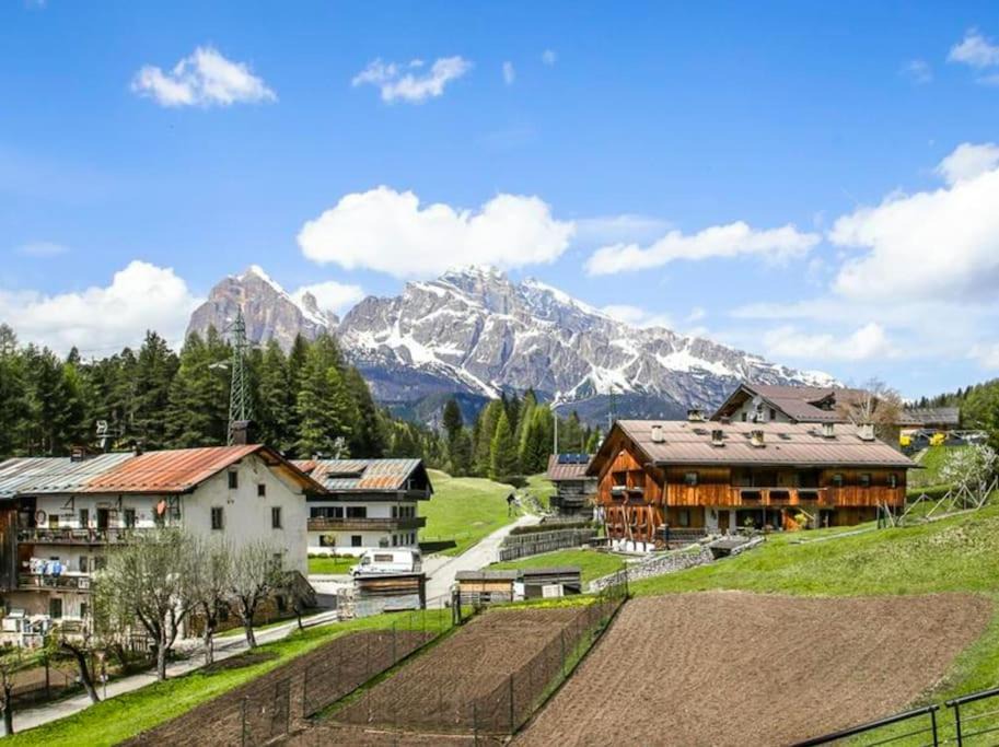 Photo of Others in Cortina d'Ampezzo