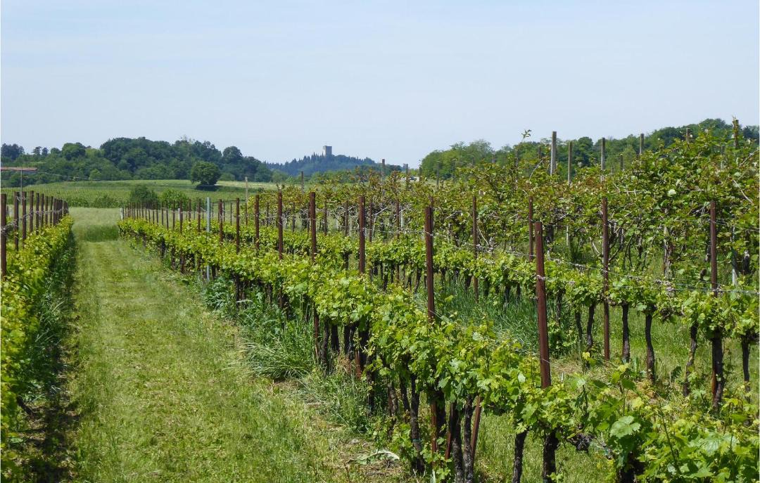 Photo of Others in Marano di Valpolicella
