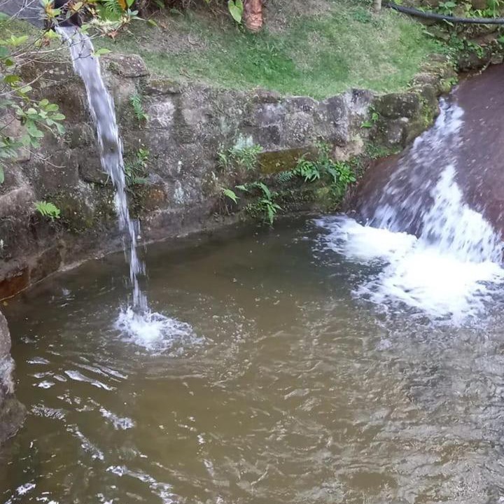 Photo of Others in Sao Pedro da Serra