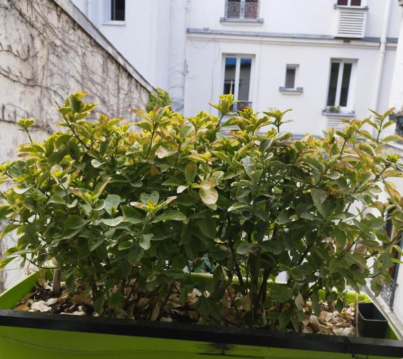 Photo of Others in Quartier de la Goutte-d'Or