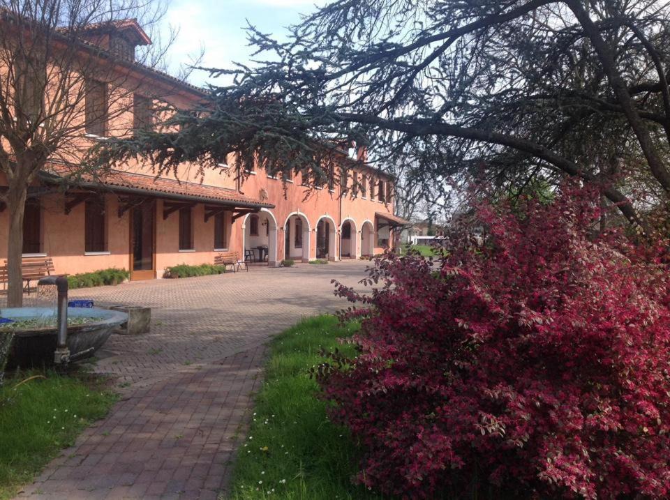 Photo of Others in Treviso