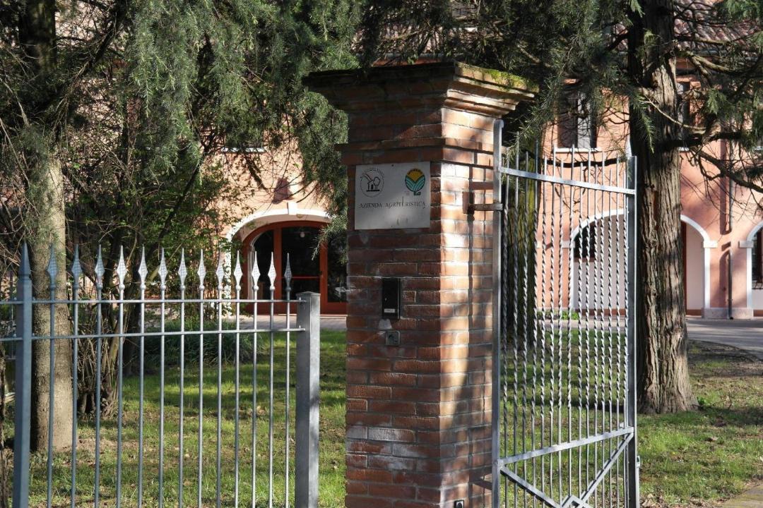 Photo of Others in Treviso