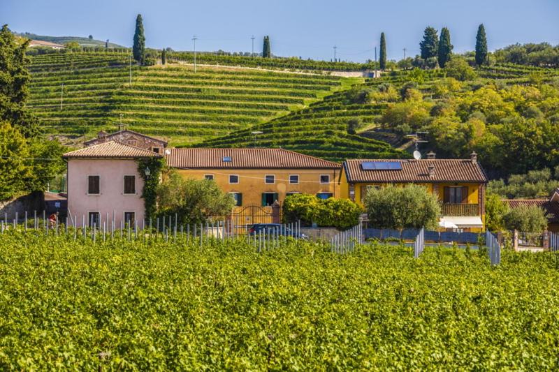 Photo of Others in Gargagnago di Valpolicella