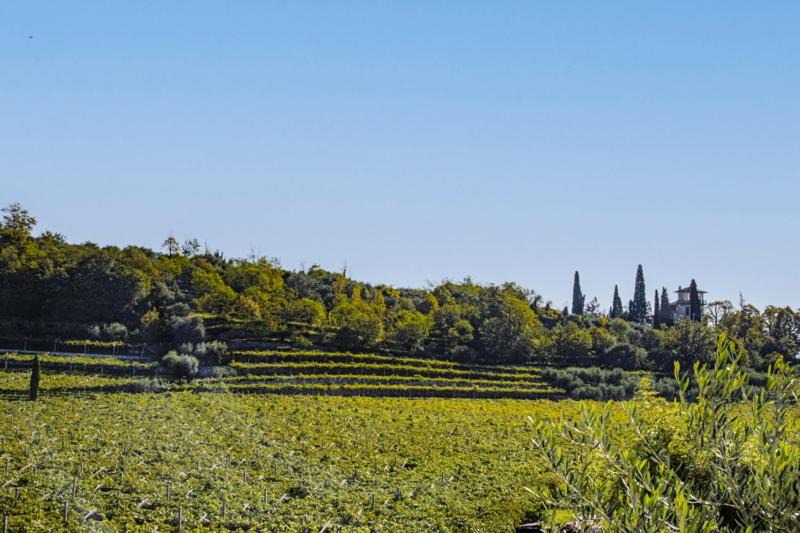 Photo of Others in Gargagnago di Valpolicella