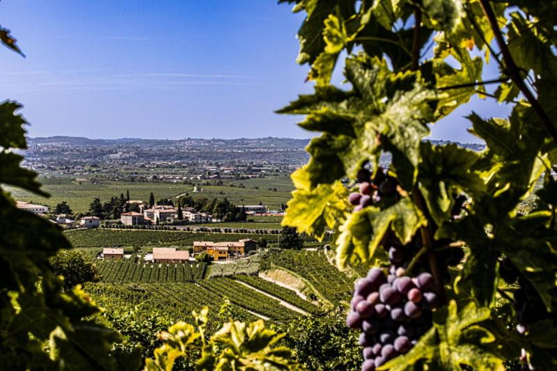 Photo of Others in Gargagnago di Valpolicella