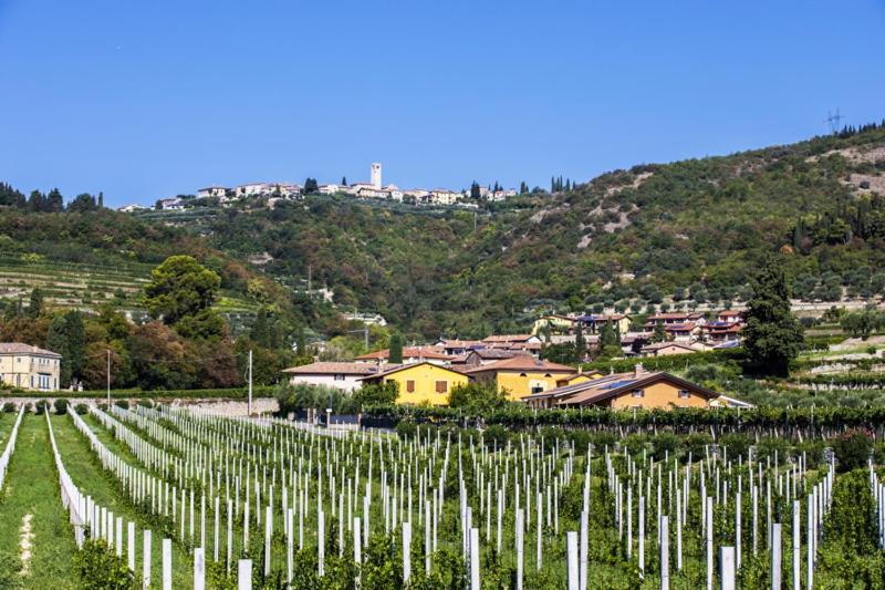 Photo of Others in Gargagnago di Valpolicella
