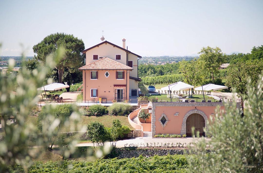 Photo of Others in Nervesa della Battaglia