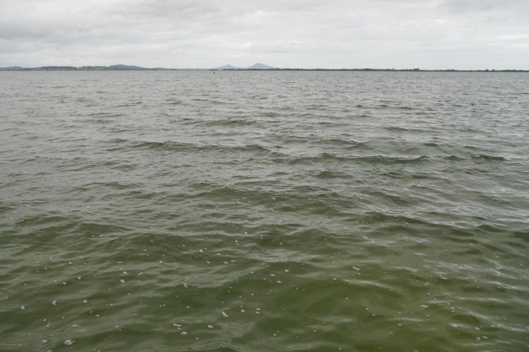 Photo of Others in Praia Seca