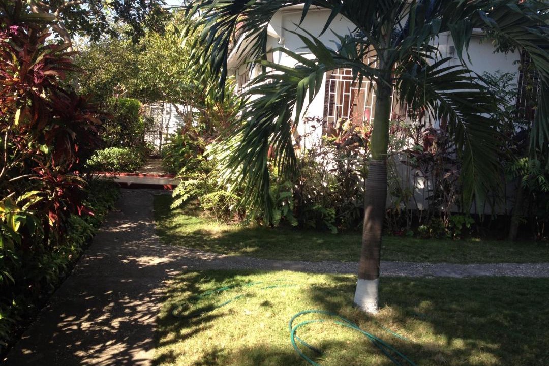 Photo of Others in Rollington Town
