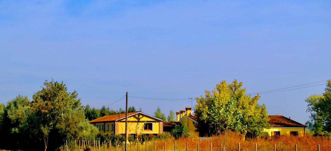 Photo of Others in Olmo di Mira