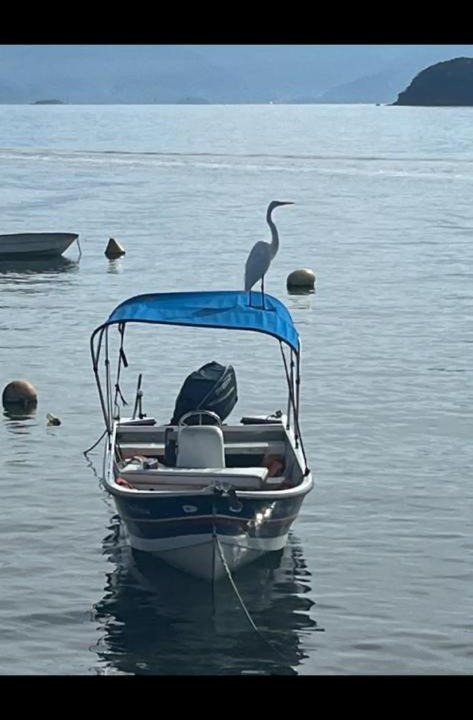 Photo of Others in Ilha Grande