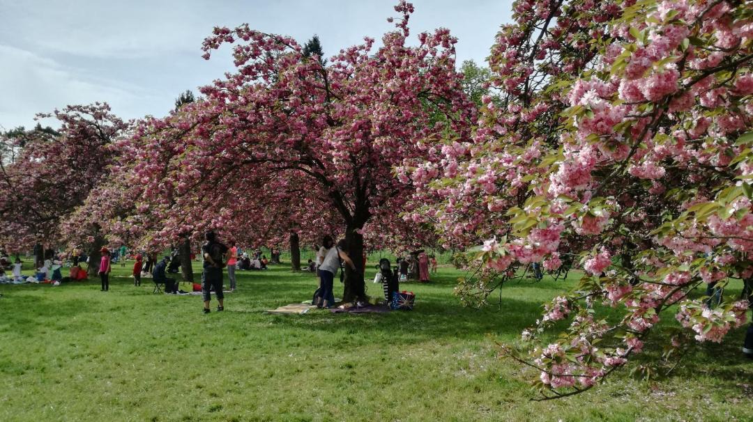 Photo of Others in Sceaux