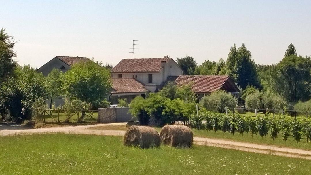 Photo of Others in Conegliano
