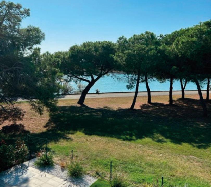 Photo of Others in Isola Albarella