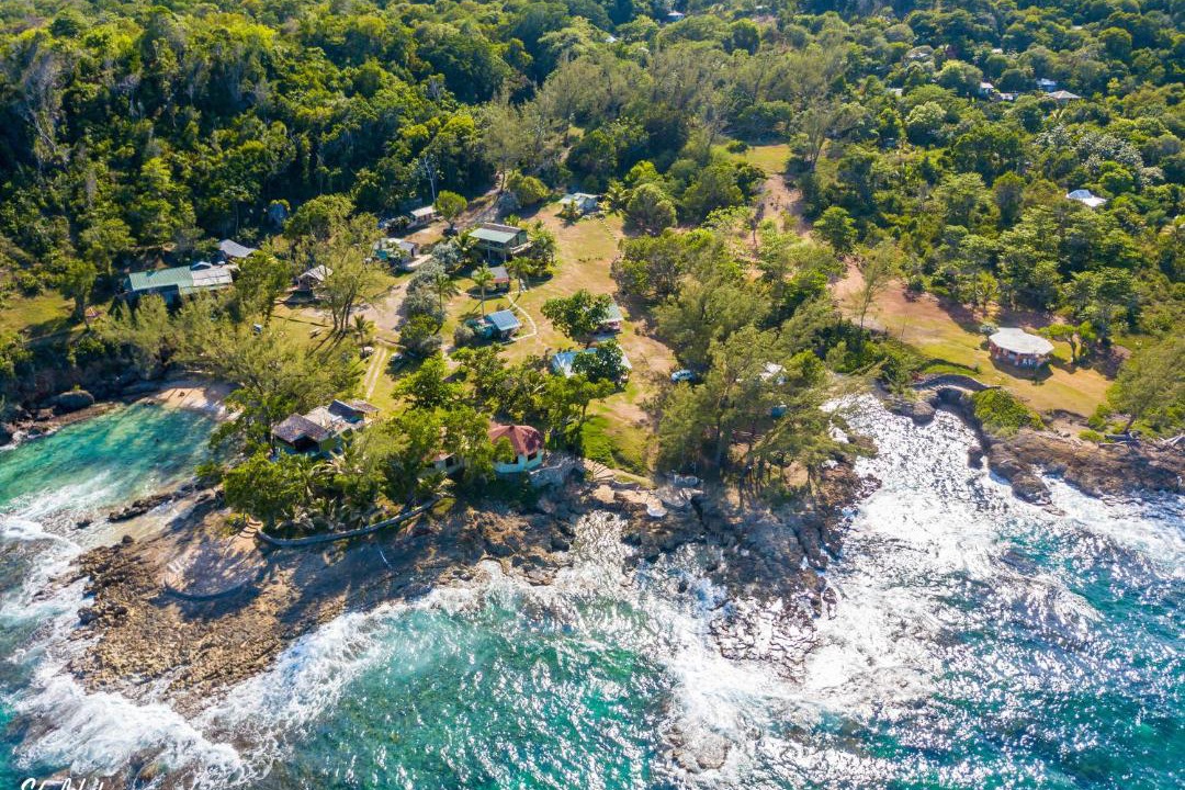 Photo of Others in Robins Bay