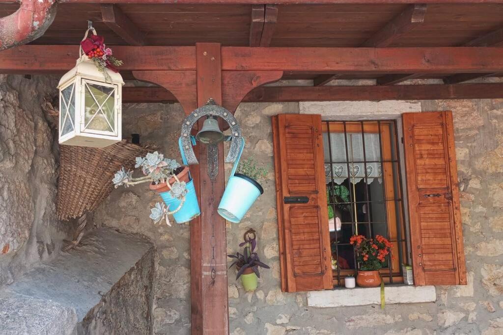 Photo of Others in Bosco Chiesanuova