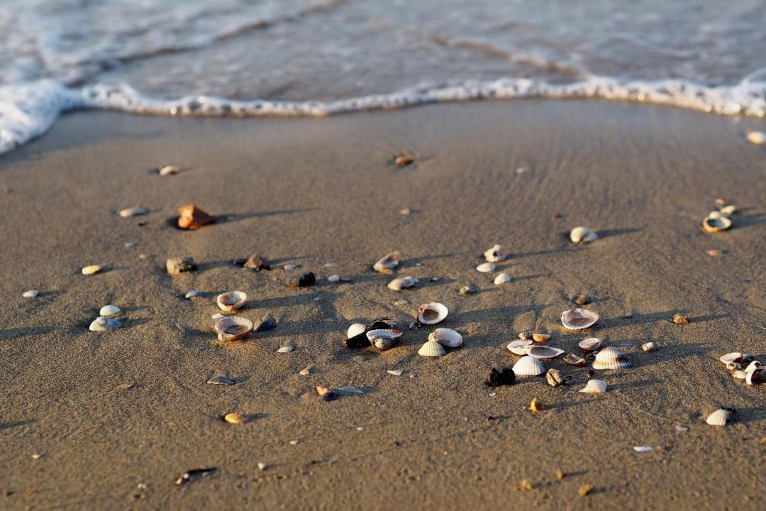 Photo of Others in Bibione