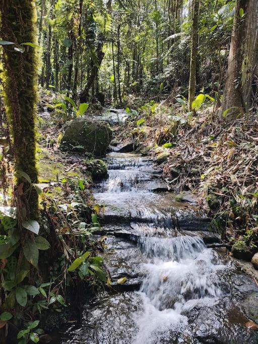Photo of Others in Teresopolis