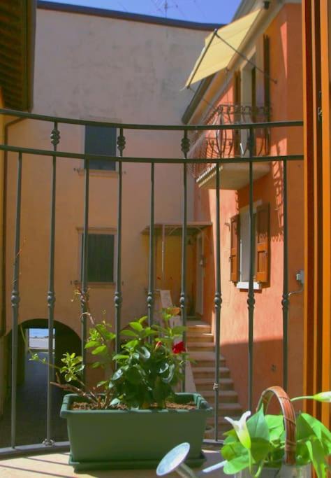 Photo of Others in Torri del Benaco