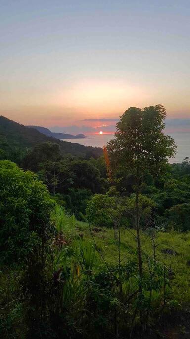 Photo of Others in Trindade