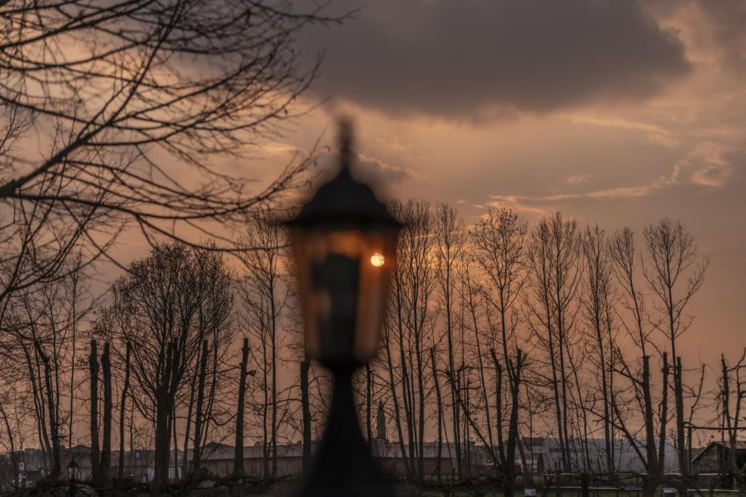 Photo of Others in Treviso
