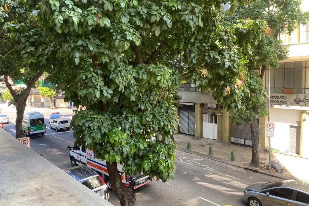 Photo of Others in Centro