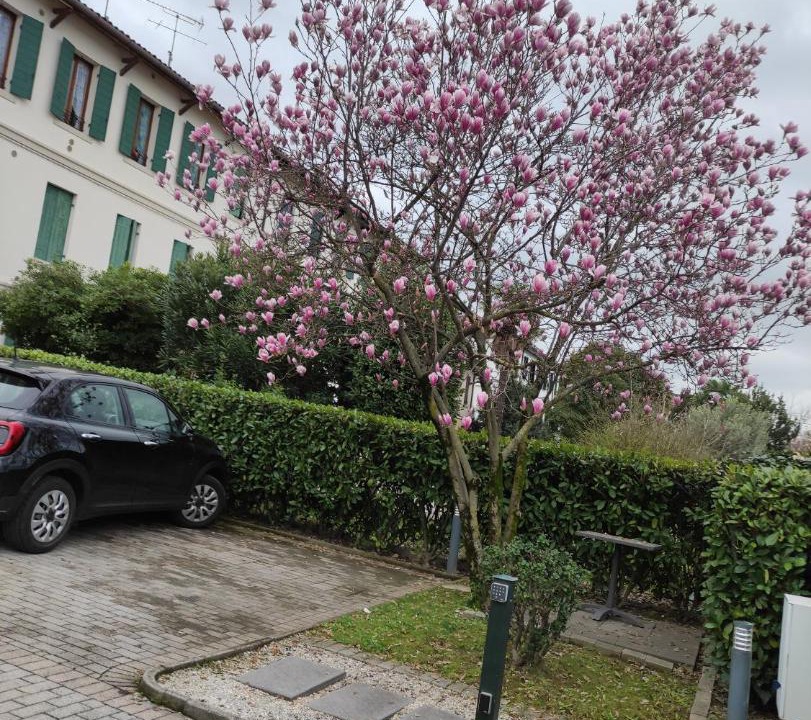 Photo of Others in Conegliano