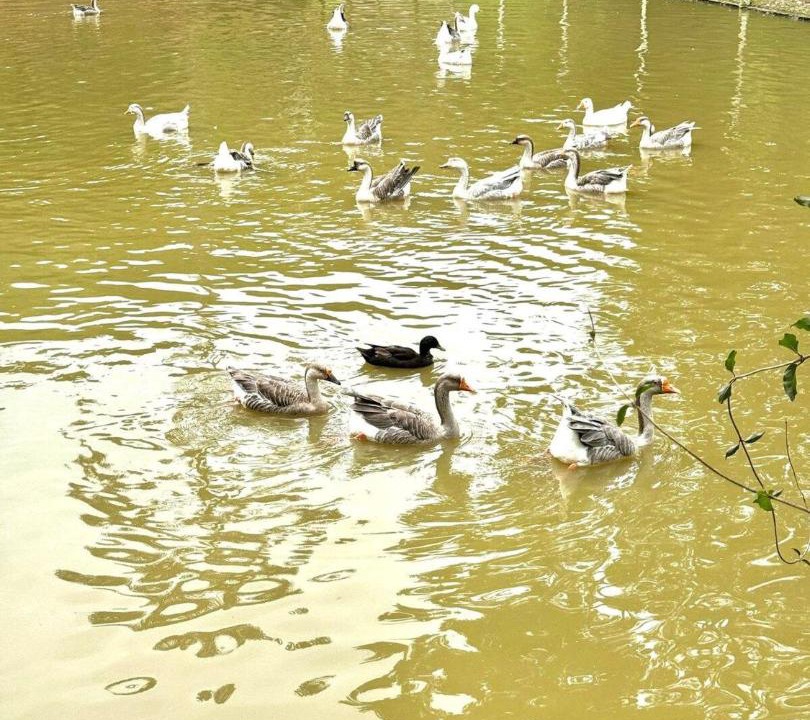 Photo of Others in Chacara Paraiso