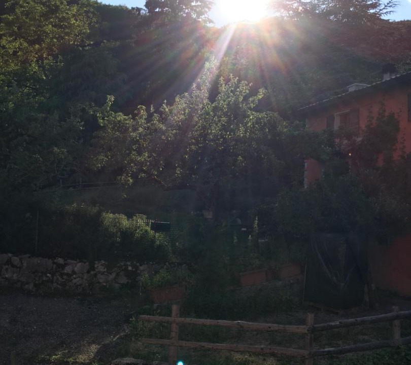 Photo of Others in Ferrara di Monte Baldo