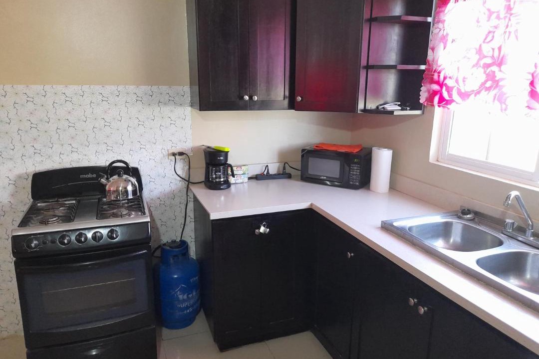 Photo of Kitchen in Lacovia