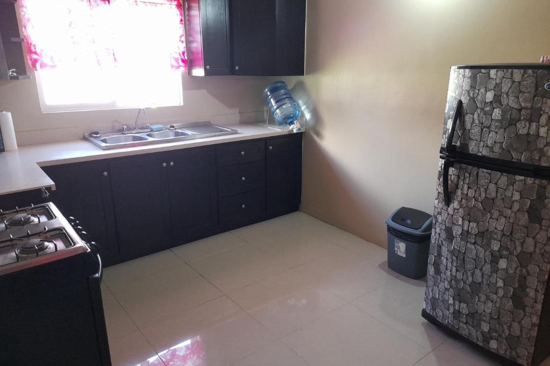 Photo of Kitchen in Lacovia