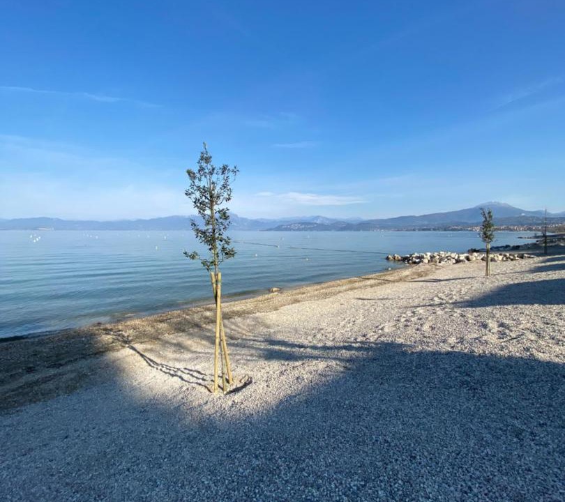 Photo of Outdoor in Lazise