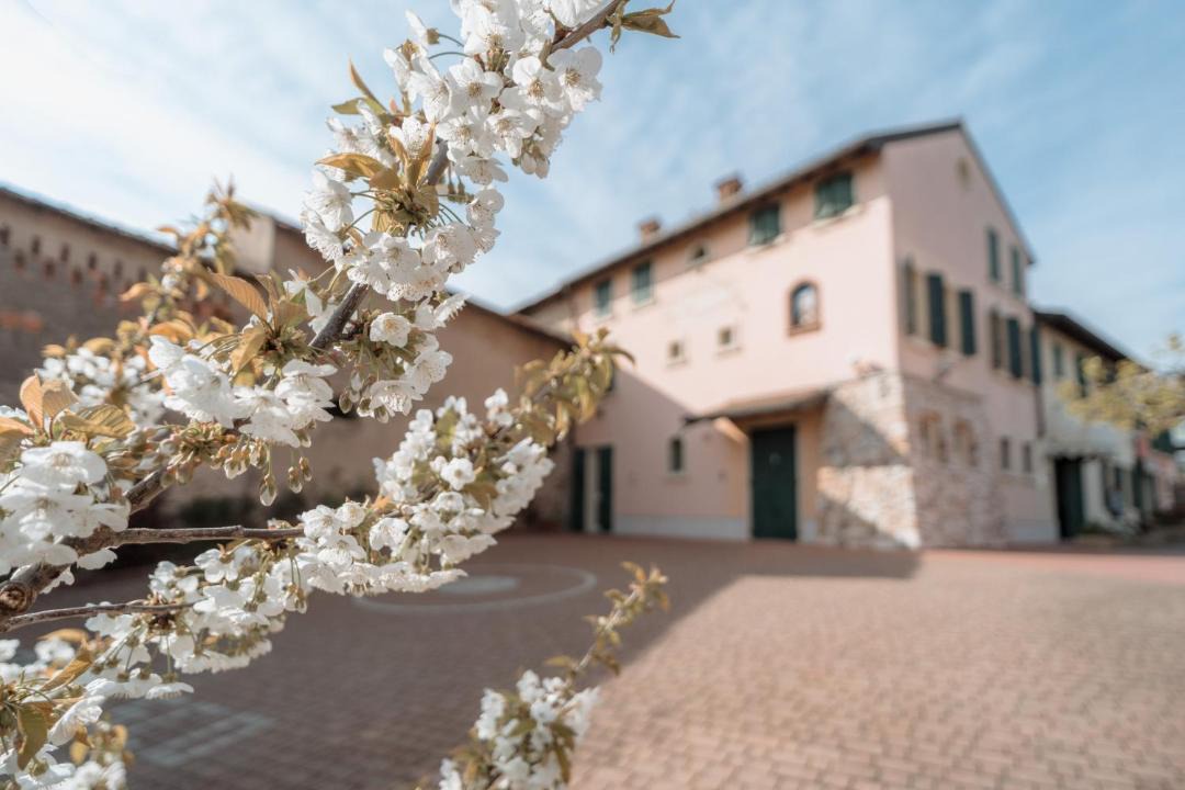 Photo of Others in Valeggio sul Mincio