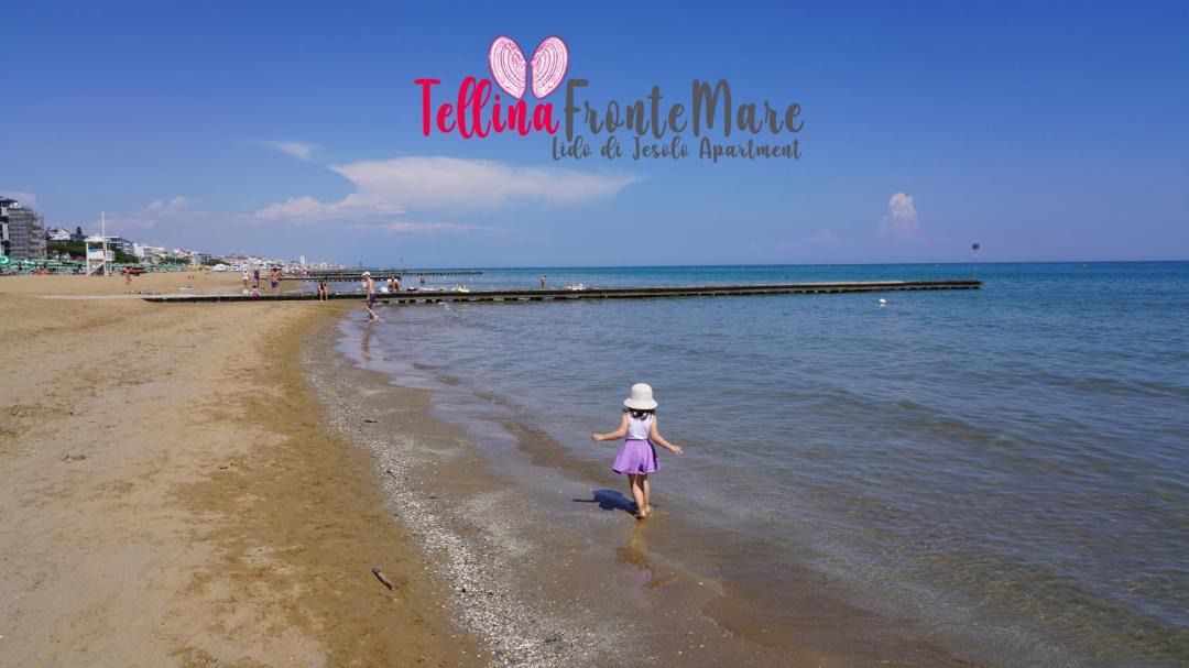 Photo of Others in Faro