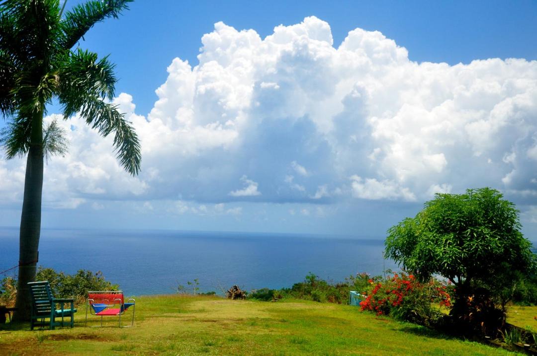 Photo of Others in Port Antonio
