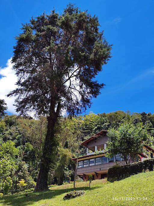 Photo of Others in Petropolis