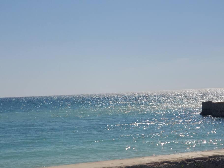 Photo of Others in Bluefields