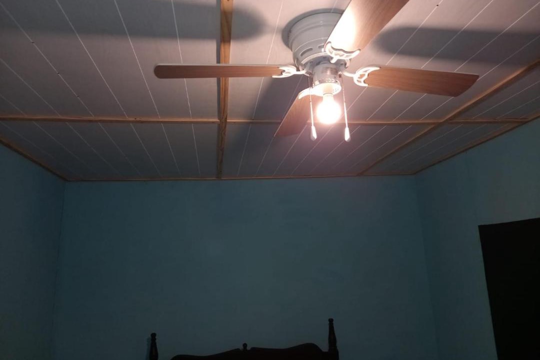 Photo of Others in Buff Bay