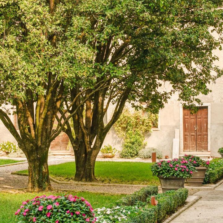 Photo of Others in Gargagnago di Valpolicella