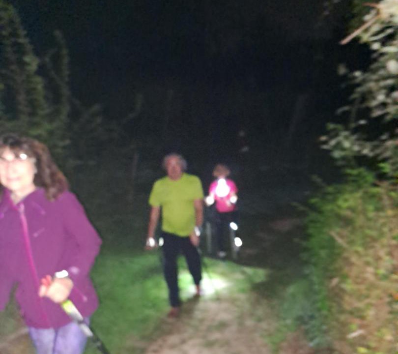 Photo of Others in Conegliano
