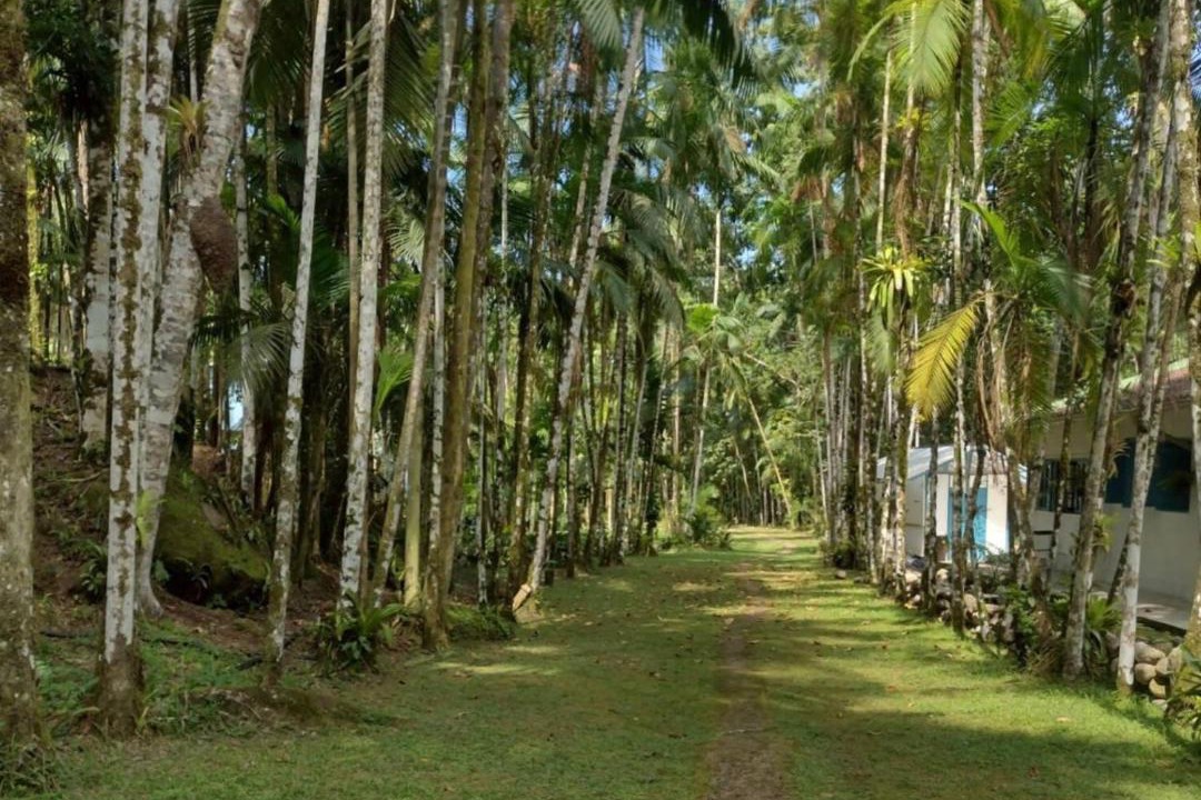 Photo of Others in Barra Grande