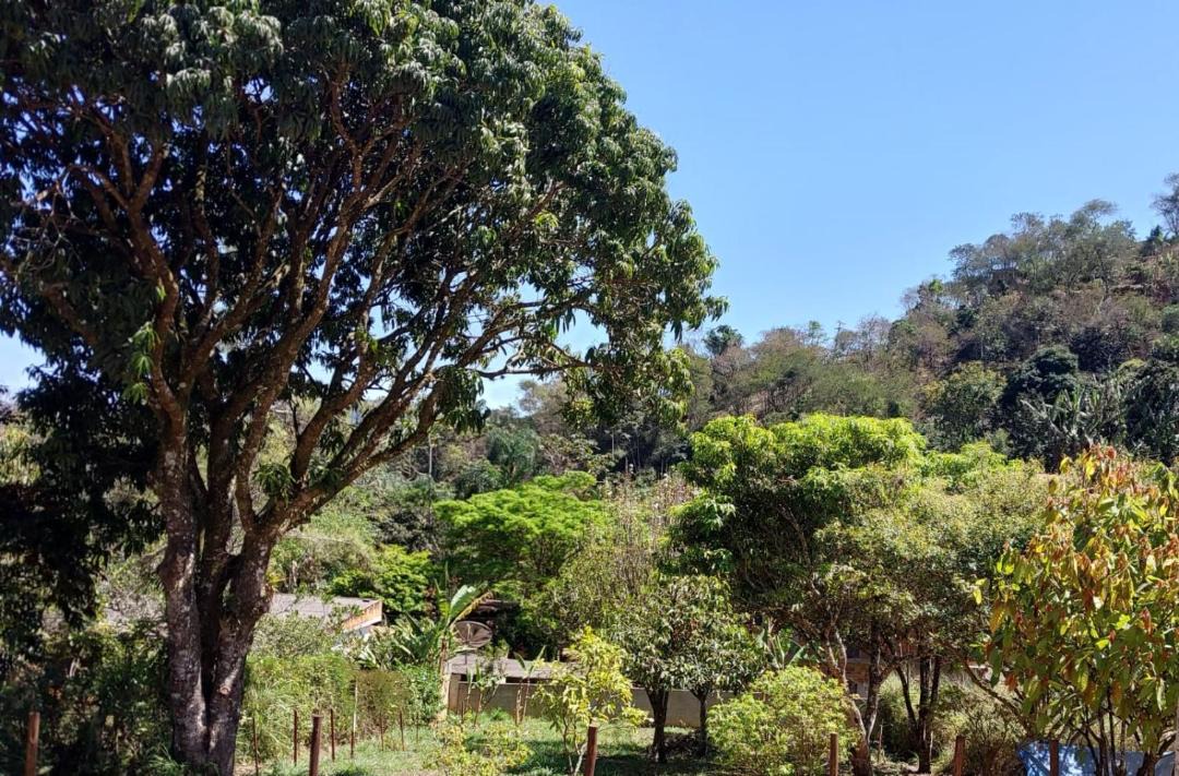 Photo of Others in Miguel Pereira
