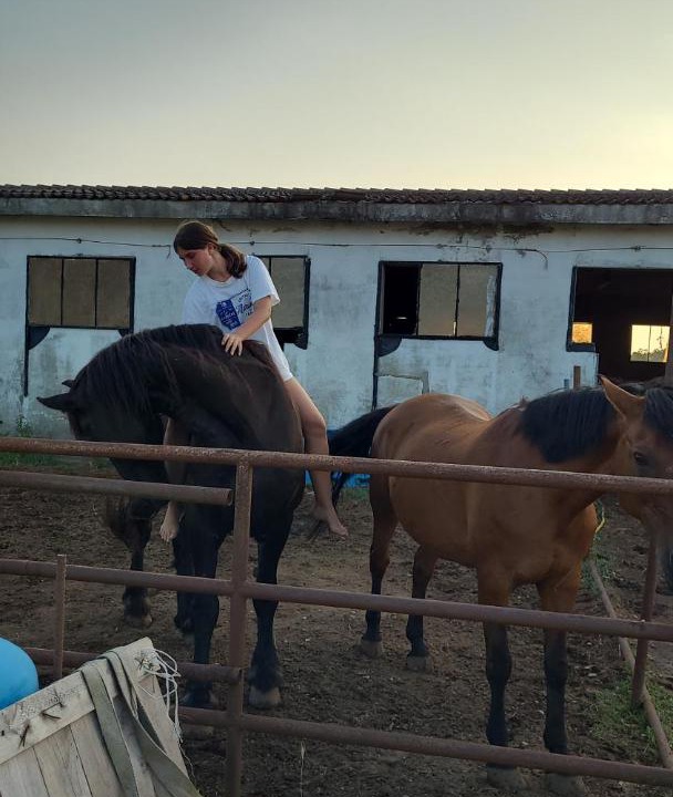 Photo of Others in Porto Viro